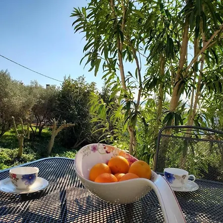 아파트 In Mit Garten- Terrasse Und Grill By Interhome